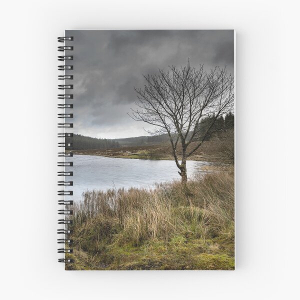 Item preview, Lone Tree designed and sold by pmccruddenphoto.