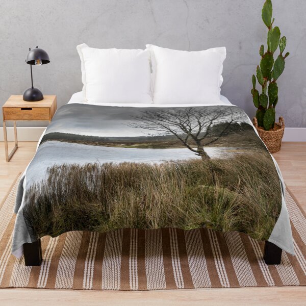 Item preview, Lone Tree designed and sold by pmccruddenphoto.
