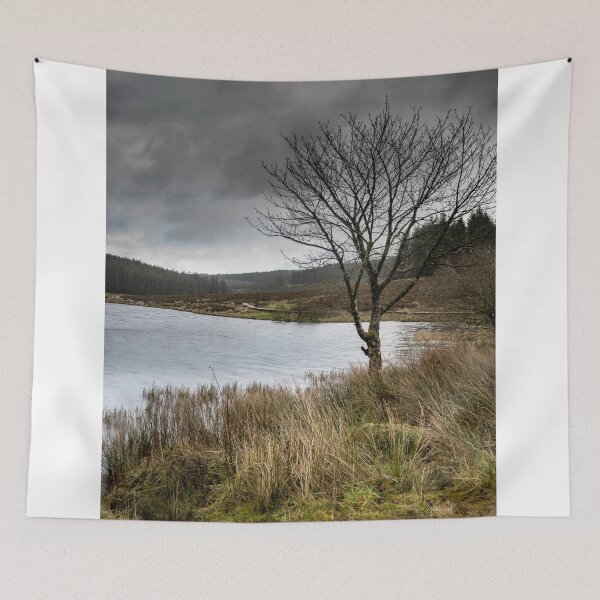 Item preview, Lone Tree designed and sold by pmccruddenphoto.
