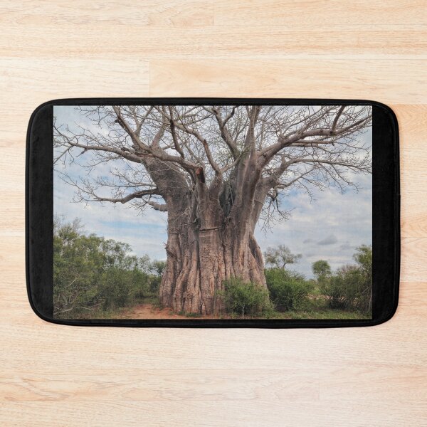 Item preview, Baobab Tree in Krüger National Park, South Africa designed and sold by holgermader.