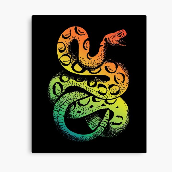 Rainbow colored snake print - Capricorn Press