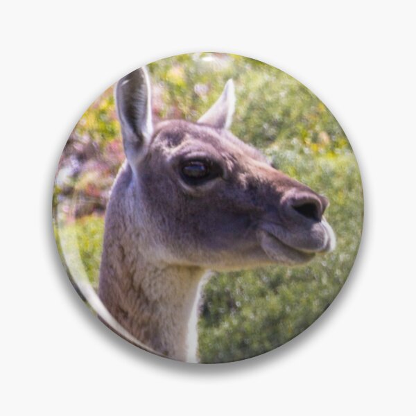 Item preview, Guanaco near Torres der Paine - Chile designed and sold by holgermader.