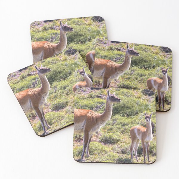 Item preview, Guanaco near Torres der Paine - Chile designed and sold by holgermader.