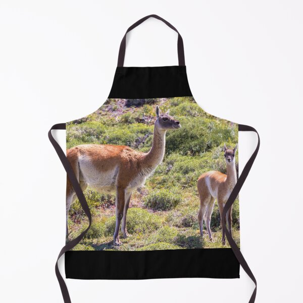 Item preview, Guanaco near Torres der Paine - Chile designed and sold by holgermader.