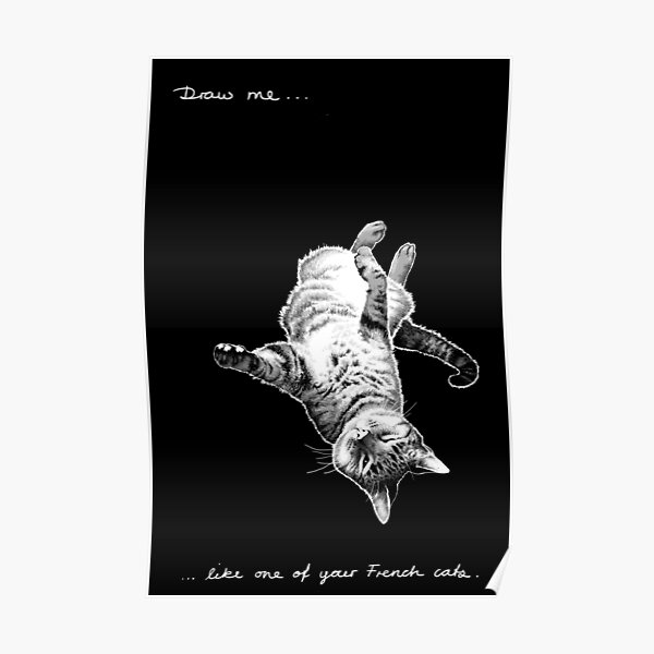 Titanic Draw Me Like One Of Your French Girls Posters | Redbubble