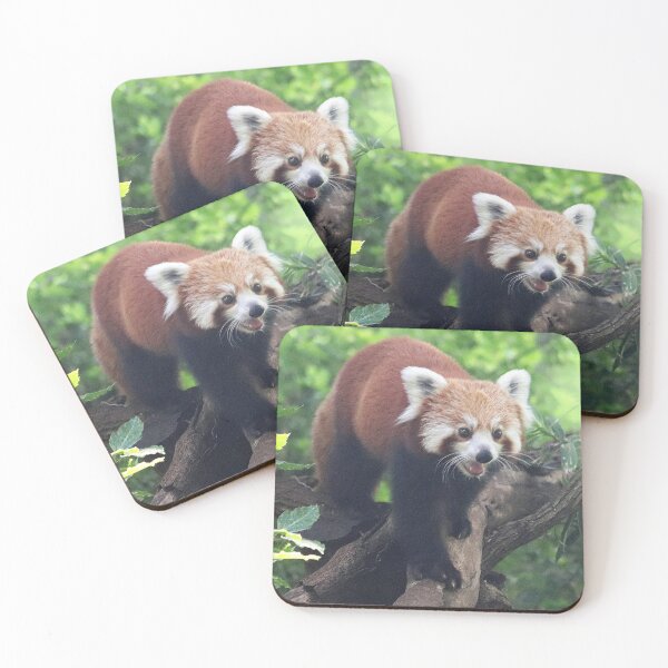 Item preview, Nepalese Red Panda designed and sold by LeanneAllen.
