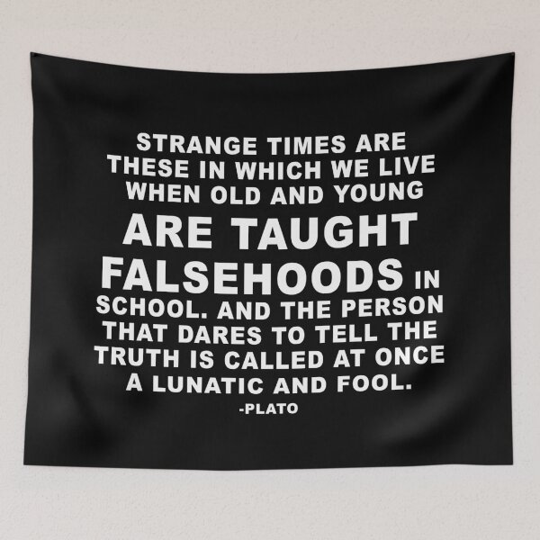 Item preview, Taught falsehoods, who tells the truth is lunatic and fool Plato Quote designed and sold by ArtOfRebellion.