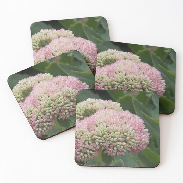 Item preview, Macro of a pink and green Orphine  designed and sold by Naomi80.