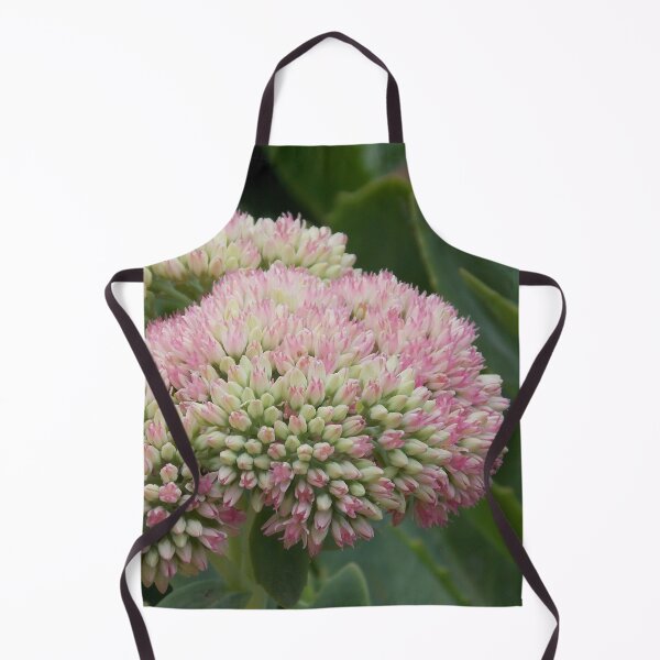 Item preview, Macro of a pink and green Orphine designed and sold by Naomi80.