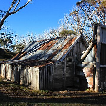 Artwork thumbnail, Wallace Hut 1 by Charles Kosina