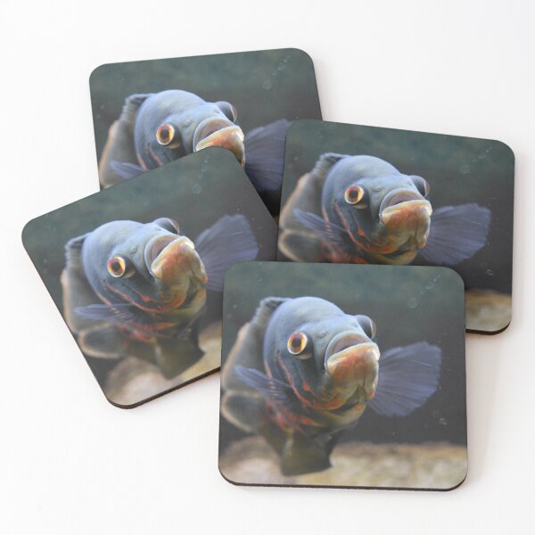 Item preview, Tiger Oscar Cichlid designed and sold by RumRagephotos.