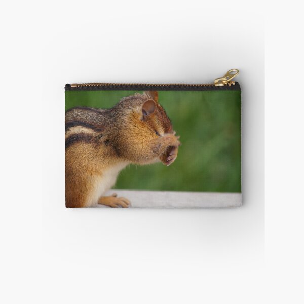 Item preview, Chipmunk Cleaning His Face designed and sold by cherylorraine.