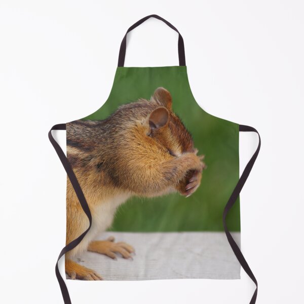 Item preview, Chipmunk Cleaning His Face designed and sold by cherylorraine.