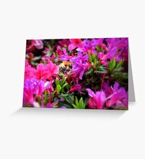 di volo Greeting Card