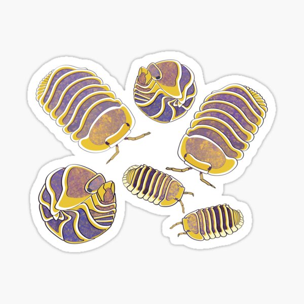 Isopods (Cubaris Jupiter) Sticker