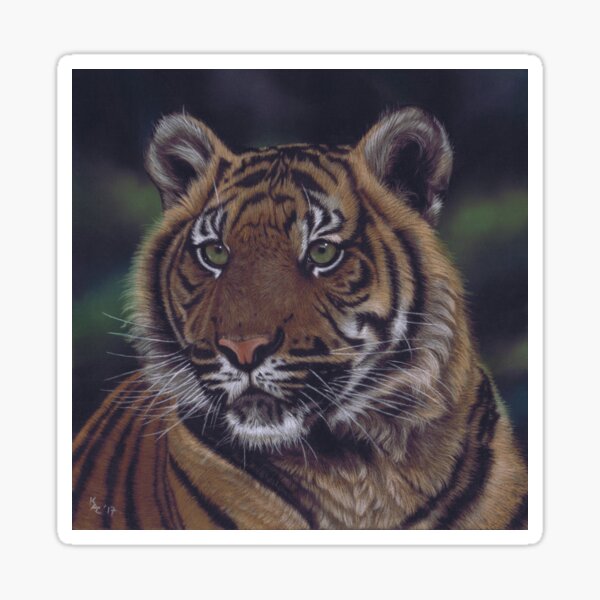 Tiger cub Sticker