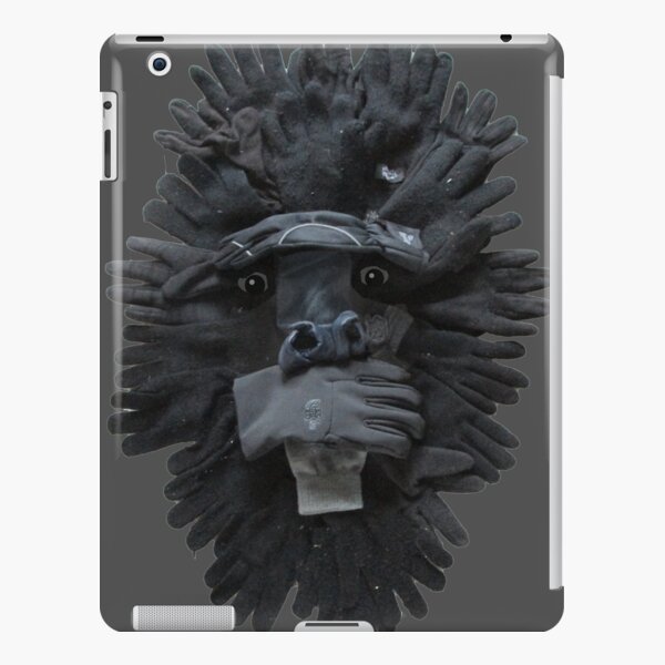 iPad Retina/3/2 - Snap