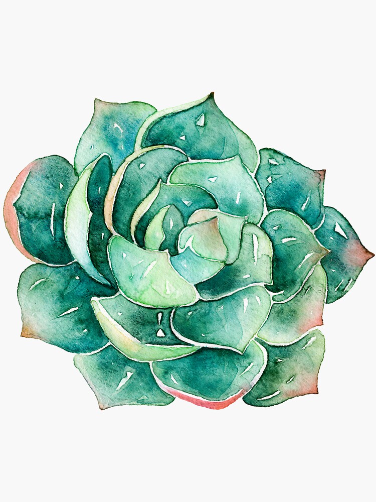 watercolor succulent sticker sticker by southprints