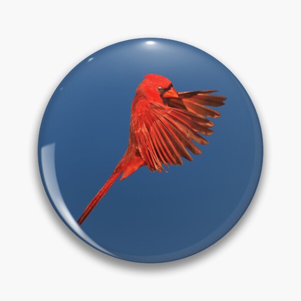 Item preview, Northern Cardinal ~ Male designed and sold by cherylorraine.