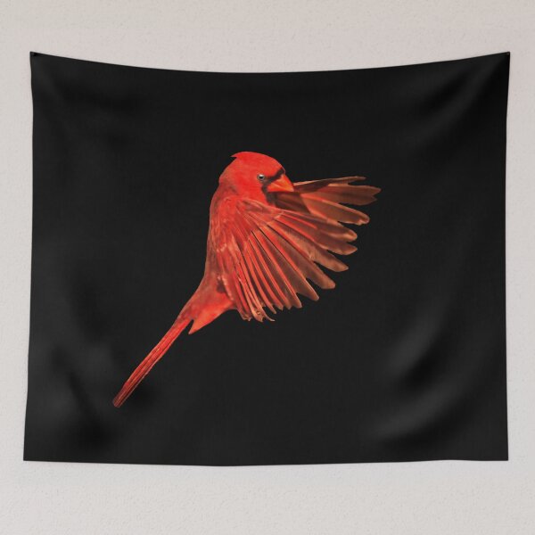 Item preview, Northern Cardinal ~ Male designed and sold by cherylorraine.