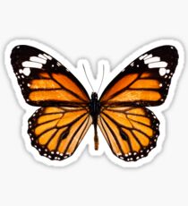 Monarch butterfly sticker Sticker