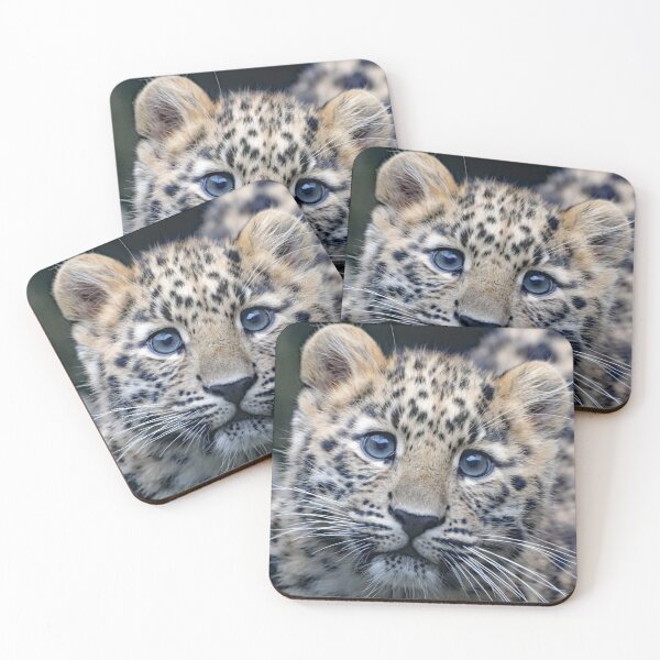 Item preview, A Beautiful Amur Leopard Cub designed and sold by Karen Thomson.