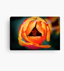 Abstract tulip Canvas Print