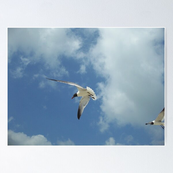 Let's fly away Poster