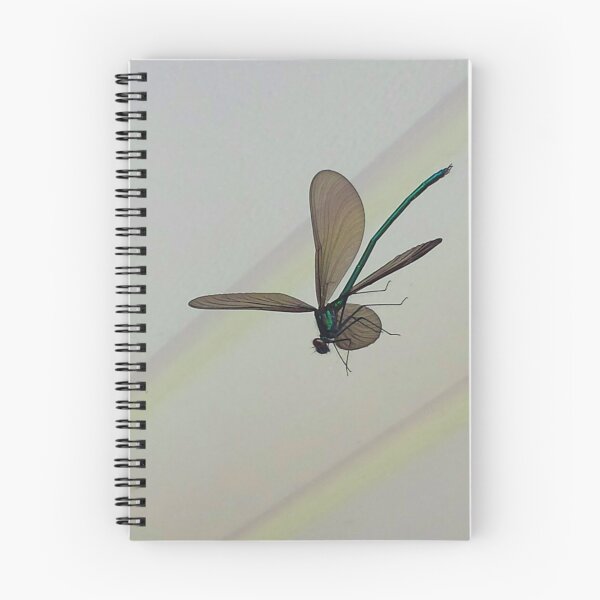Item preview, "Suspended In Time" designed and sold by Robert Regenold's Art Shop.