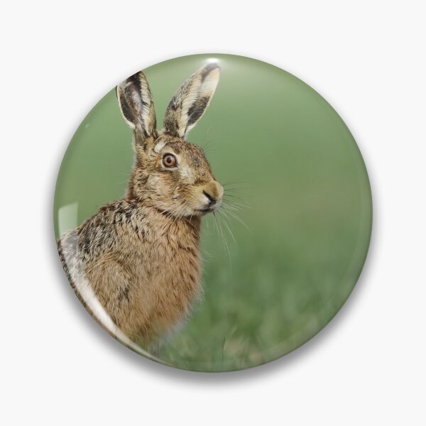 Item preview, Brown Hare designed and sold by Dean   Eades.
