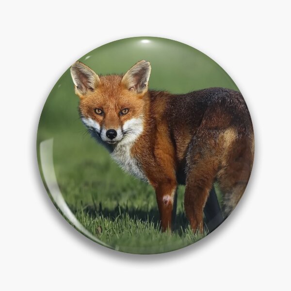 Item preview, Fox designed and sold by Dean   Eades.