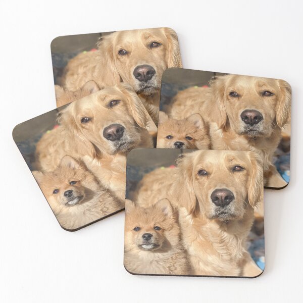 Item preview, Bella&Kai ( golden retriever & Pomeranian puppies) designed and sold by Fluffycat2020.