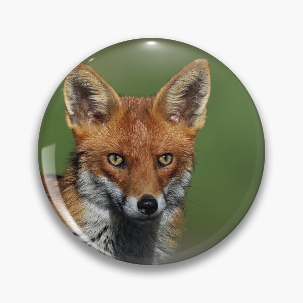 Item preview, zorro designed and sold by Dean   Eades.