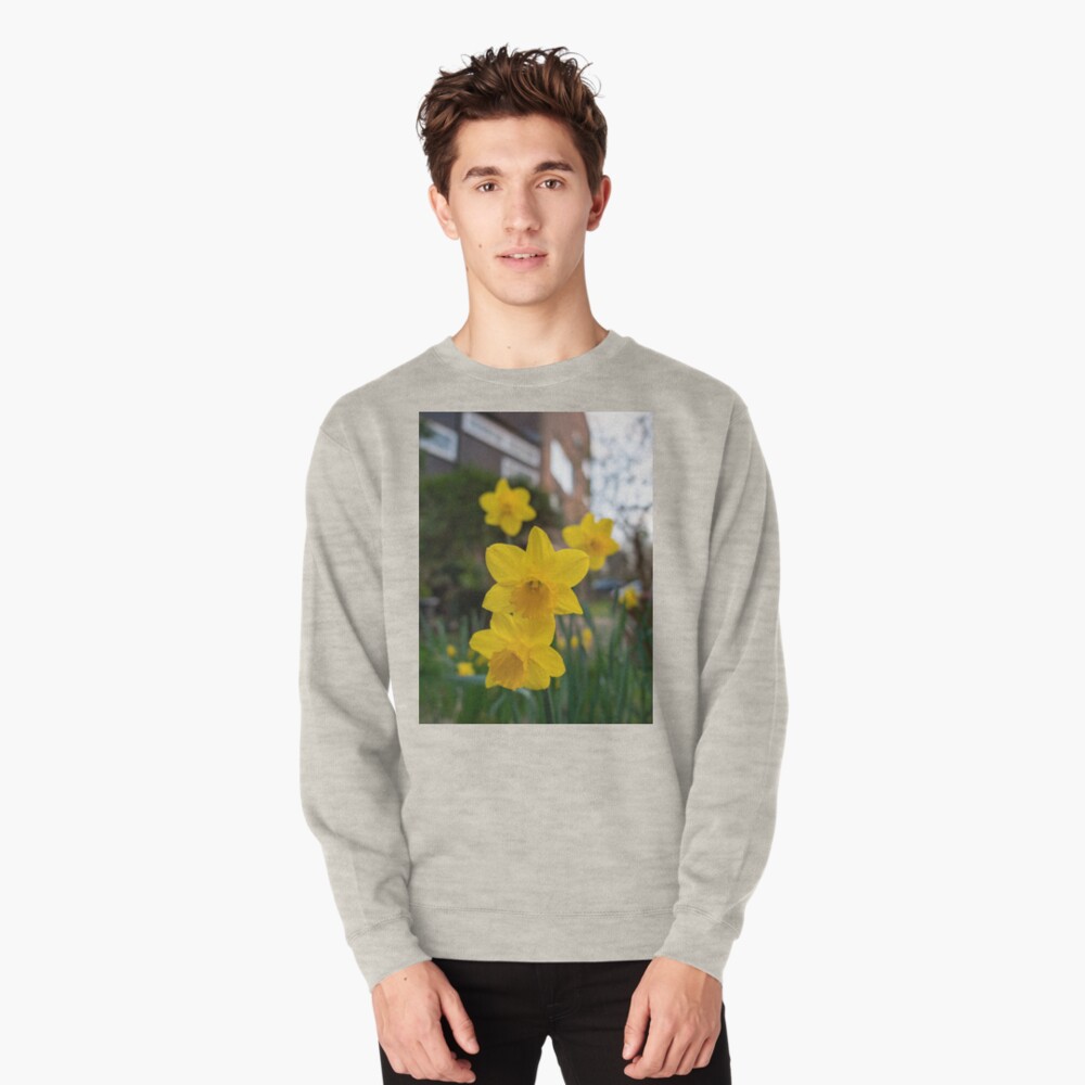 Item preview, Pullover Sweatshirt designed and sold by santoshputhran.