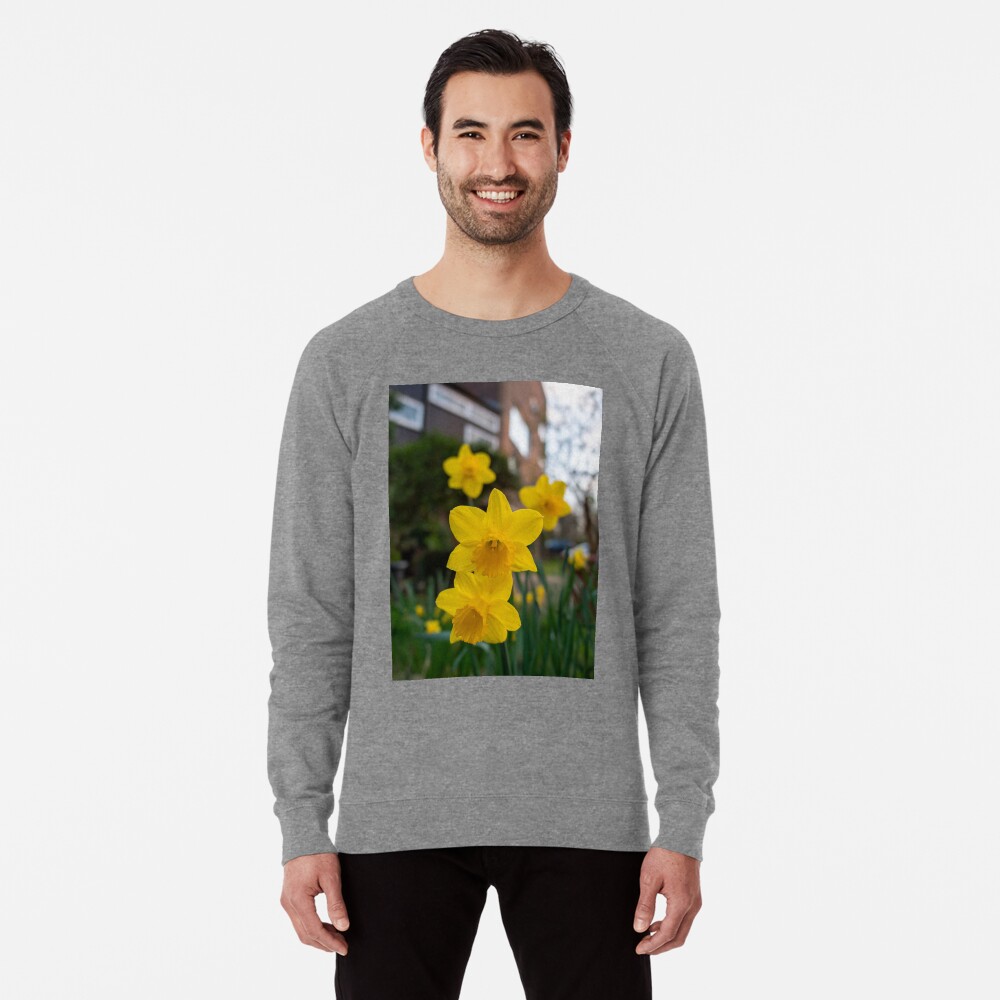 Item preview, Lightweight Sweatshirt designed and sold by santoshputhran.