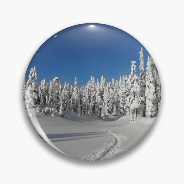 Item preview, Blue Sky Snowshoeing in North Vancouver designed and sold by ExploreCanada.