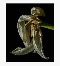I need Coffee... Photographic Print
