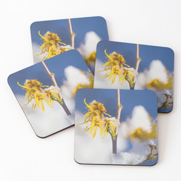 Item preview, Witch hazel blossom in the snow designed and sold by OE993.