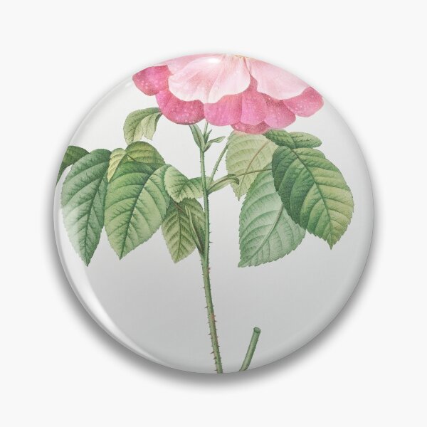 Item preview, Les Roses by Pierre-Joseph Redouté designed and sold by EsotericBotanic.