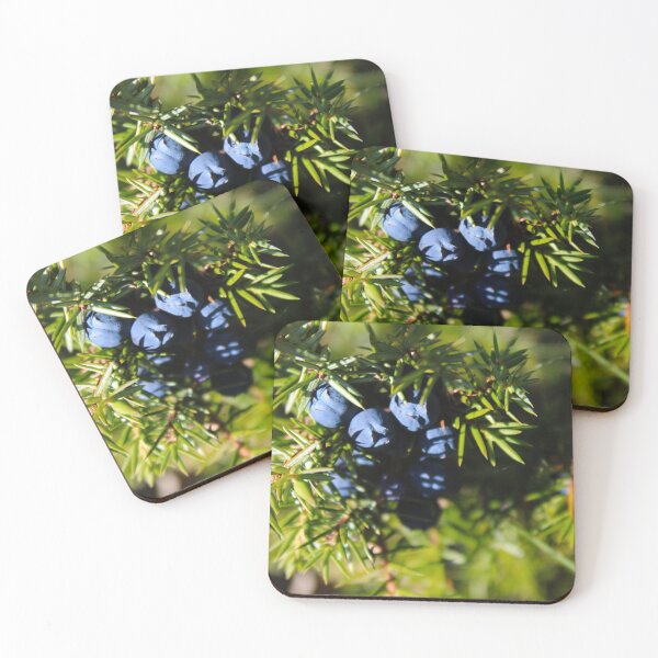Item preview, Ripe blue juniper berries on a branch between green needles designed and sold by Mahirov Shop.