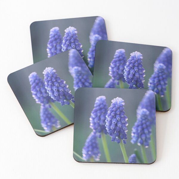 Item preview, Beautiful Blue Muscari Flowers designed and sold by Imladris01.