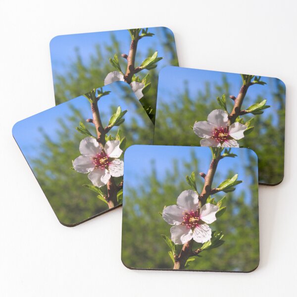 Item preview, Almond flower on a branch in almond orchard designed and sold by Mahirov Shop.