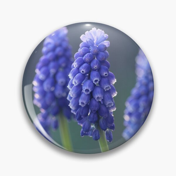 Item preview, Beautiful Blue Muscari Flowers designed and sold by Imladris01.