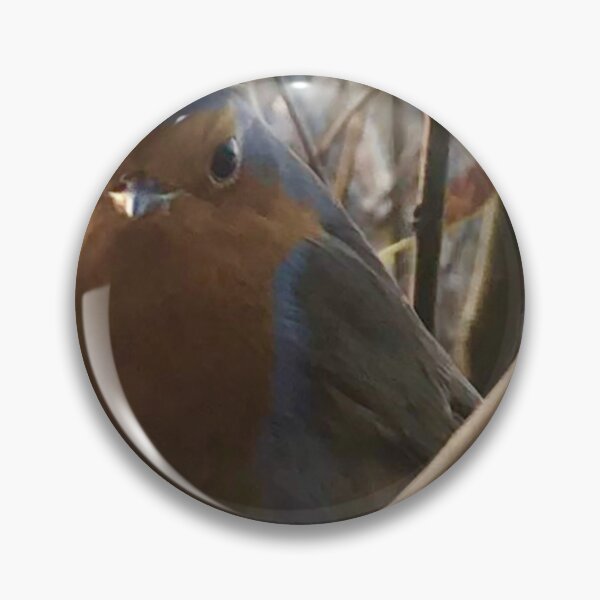 Artikelvorschau, Ein Robin, der die Augen gibt entworfen und verkauft von Ady199.