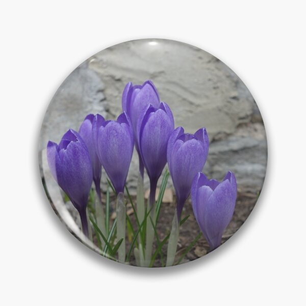 Item preview, SPRING IS SPRUNG designed and sold by bgoddard.