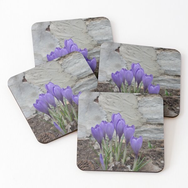 Item preview, SPRING IS SPRUNG designed and sold by bgoddard.