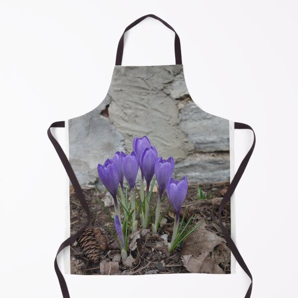 Item preview, SPRING IS SPRUNG designed and sold by bgoddard.