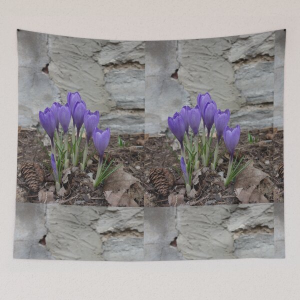 Item preview, SPRING IS SPRUNG designed and sold by bgoddard.