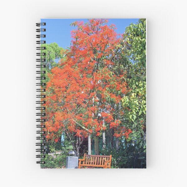 Item preview, Flame Tree in Flower designed and sold by STHogan.
