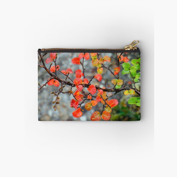 Item preview, Fagus designed and sold by Harry Oldmeadow.